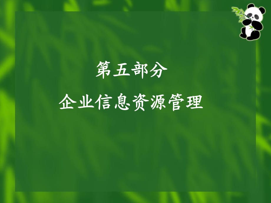 《企業(yè)信息資源管理》PPT課件_第1頁