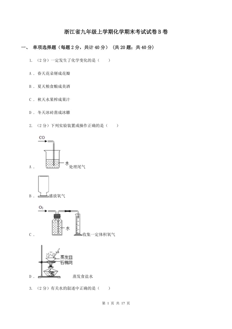 浙江省九年级上学期化学期末考试试卷B卷_第1页