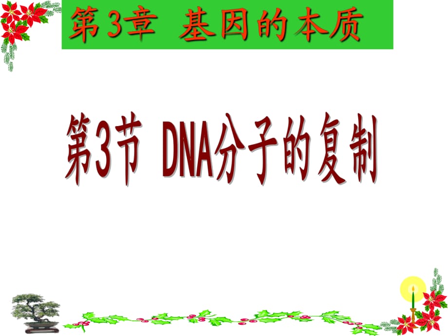 《DNA分子的复制》PPT课件_第1页