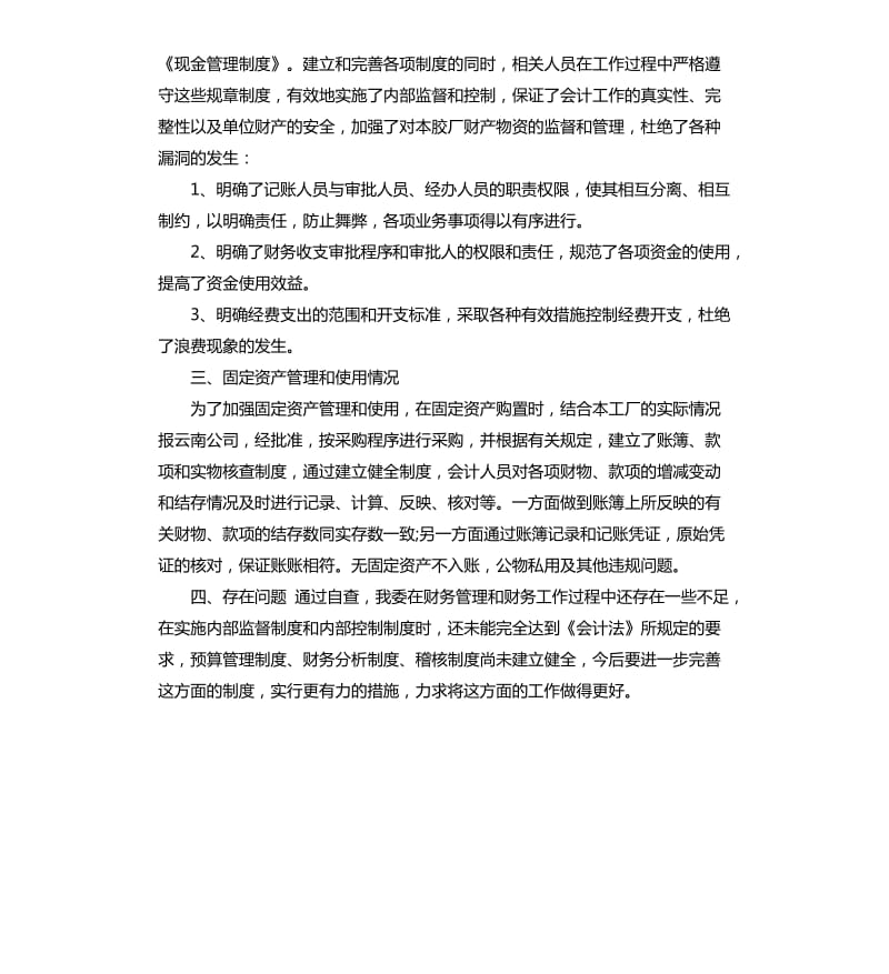 财务管理工作情况自查报告.docx_第3页