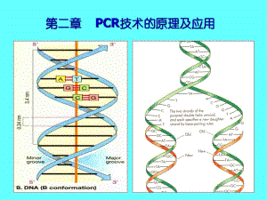 《CR的原理與應(yīng)用》PPT課件