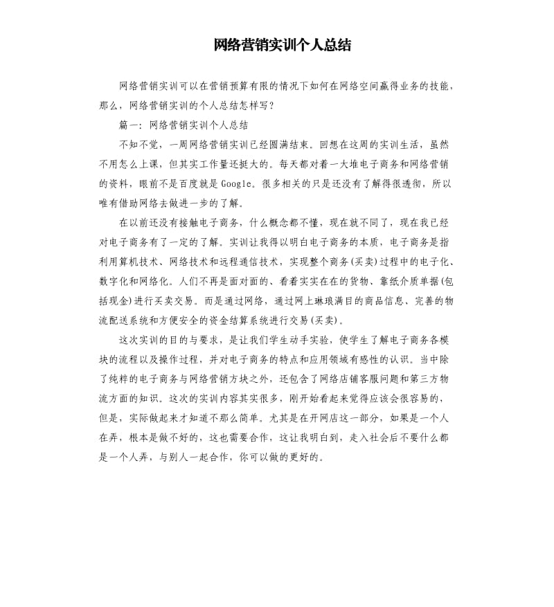 网络营销实训个人总结.docx_第1页