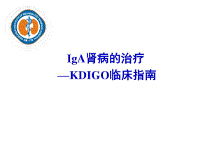 KDIGO临床指南-IgA肾病的治疗