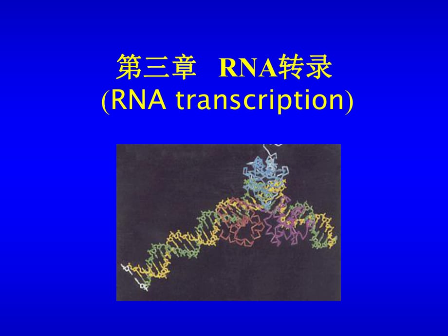 《RNA轉(zhuǎn)錄》課件_第1頁