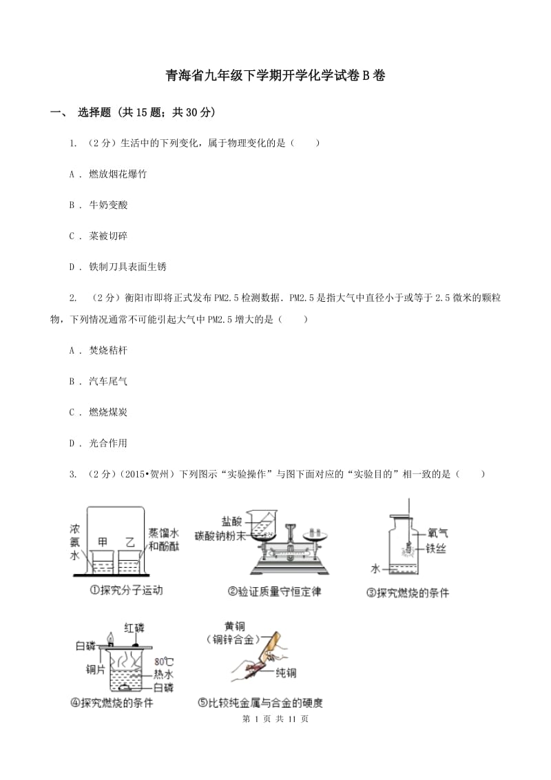 青海省九年级下学期开学化学试卷B卷_第1页