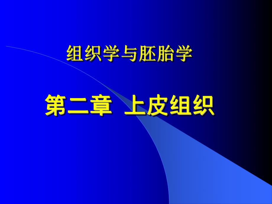 《上皮組織結(jié)構(gòu)》PPT課件_第1頁