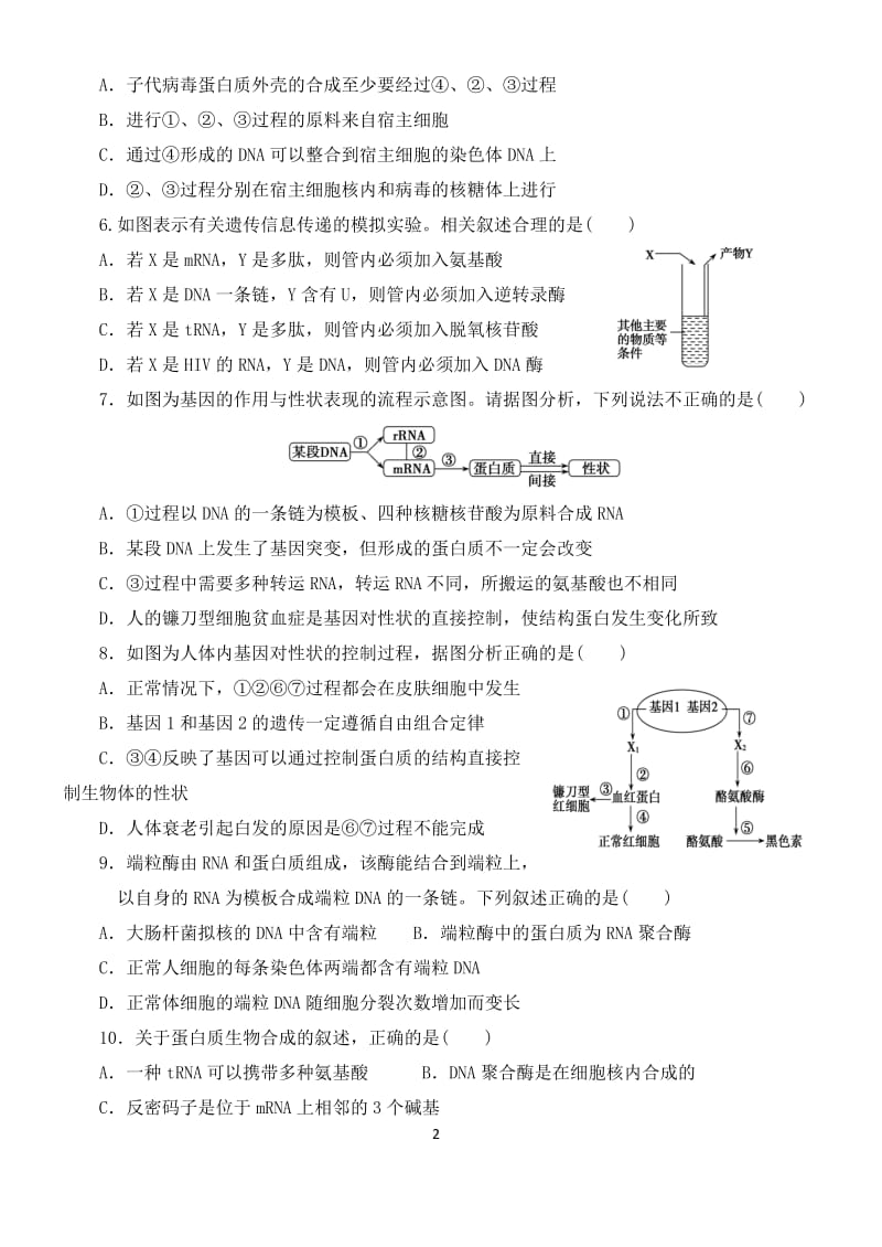 基因的表达测试题_第2页