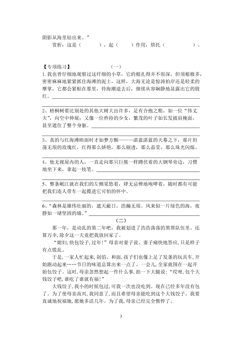 初中语文语句赏析技巧与训练_第3页