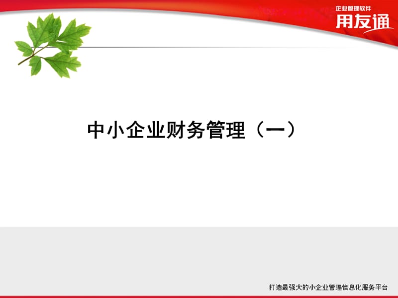 《中小企業(yè)財(cái)務(wù)管理》PPT課件_第1頁