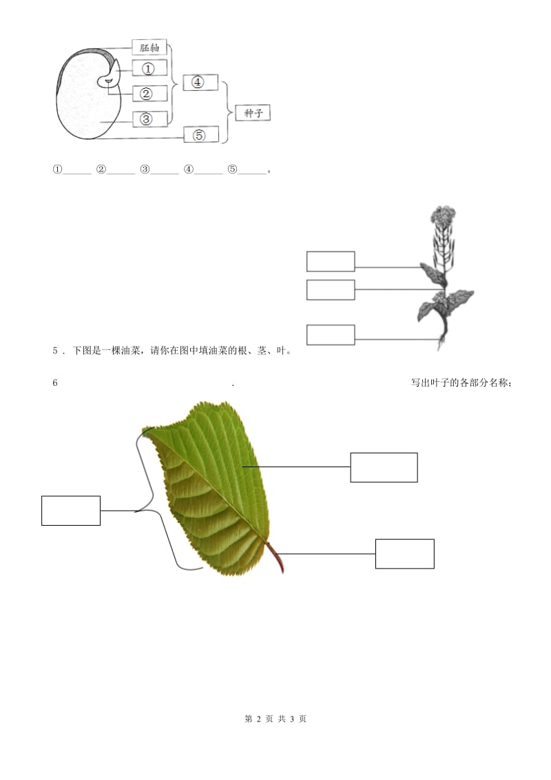 2019年教科版科学一年级上册1.2 观察一棵植物练习卷（1）C卷_第2页