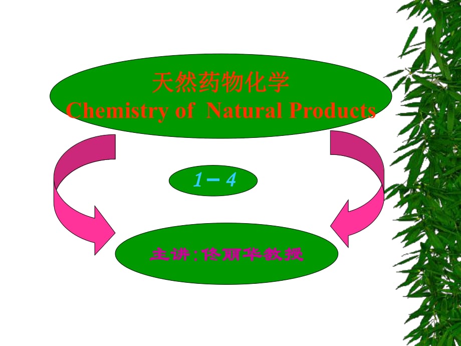 《天然藥物化學(xué)》PPT課件_第1頁