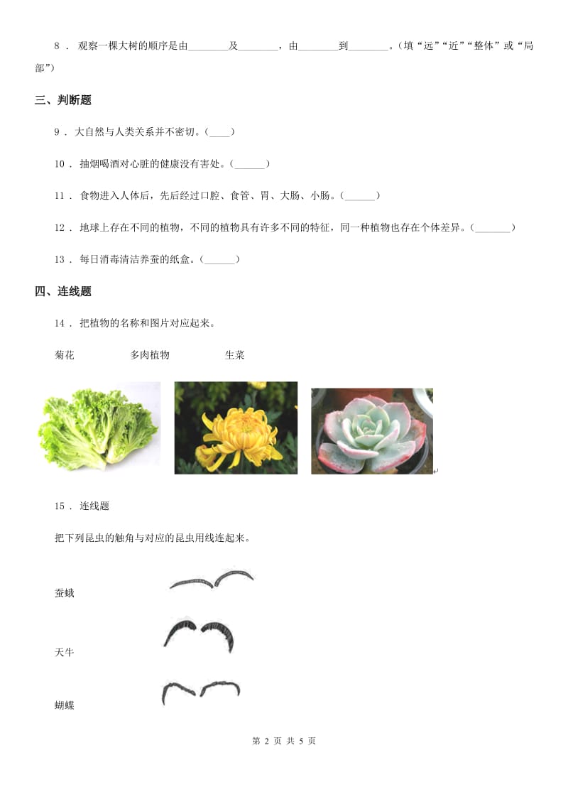 2019-2020学年苏教版科学一年级下册第四单元《动物与植物》单元测试卷_第2页