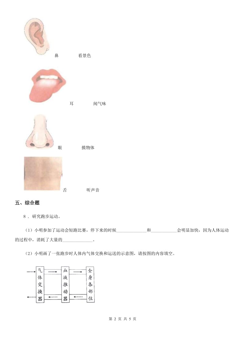 2019年教科版科学二年级下册5.发现生长（II）卷_第2页