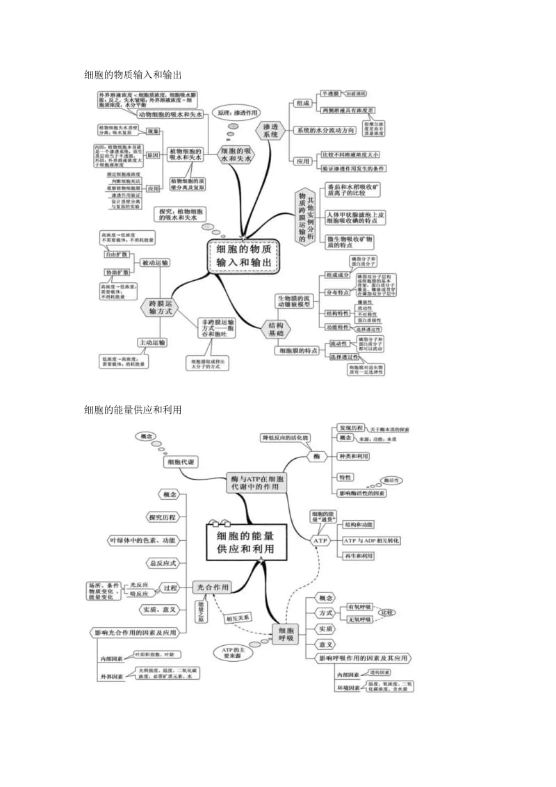 高中生物思维导图_第2页