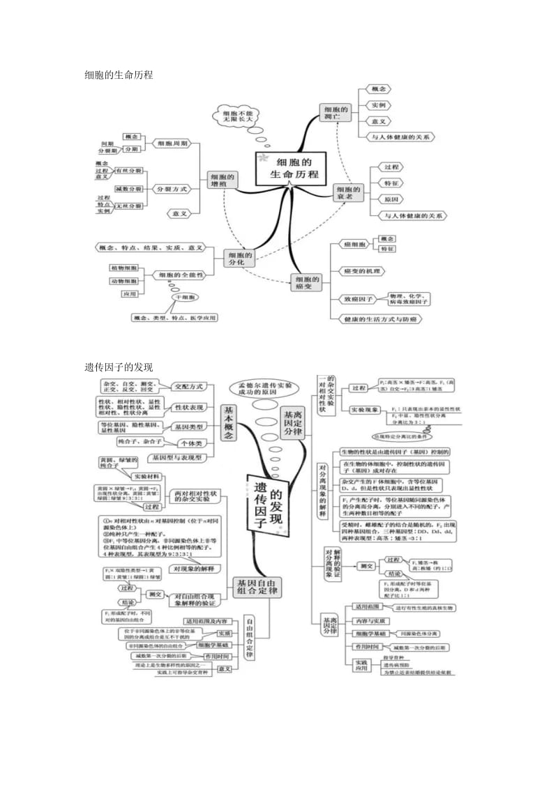 高中生物思维导图_第3页