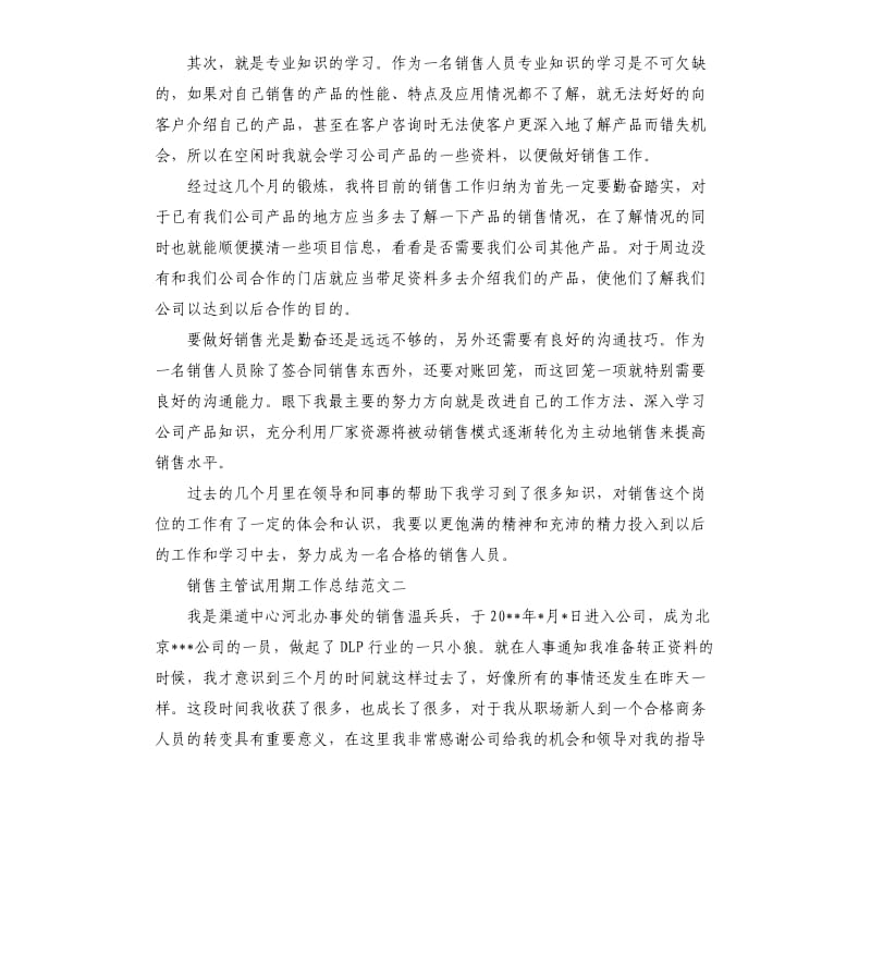 销售主管试用期工作总结（二）.docx_第2页