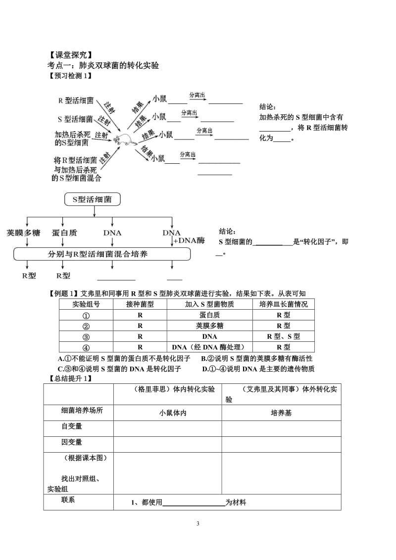 高三生物一轮复习--DNA是主要的遗传物质--学案_第3页