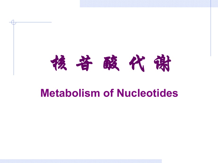 《核苷酸代謝》課件_第1頁