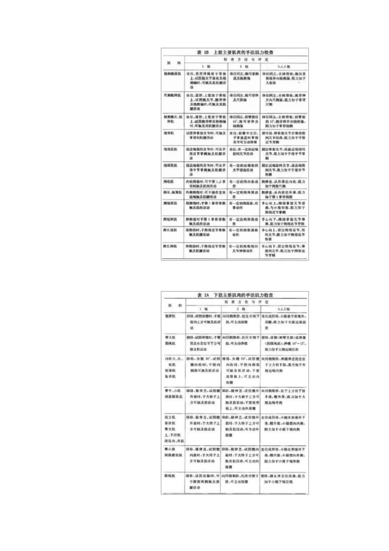 肌力测定方法_第3页
