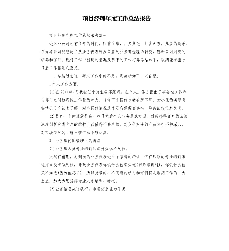 项目经理年度工作总结报告.docx_第1页