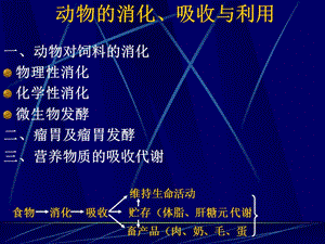 《動(dòng)物消化吸收》PPT課件