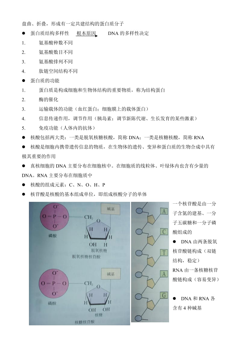 高一生物必修1《分子与细胞》知识点总结_第3页