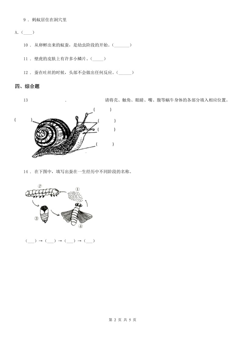 2019-2020学年教科版科学三年级下册2.3 蚕长大了练习卷（II）卷_第2页