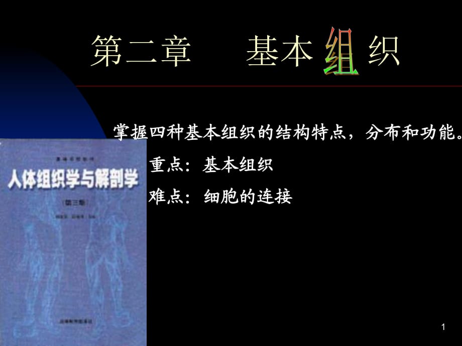 《基本組織》課件_第1頁