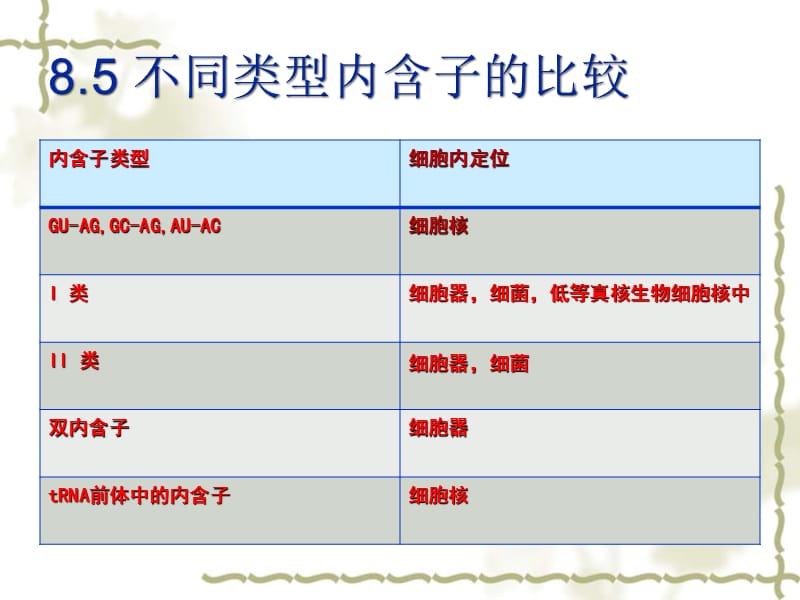 《內(nèi)含子的比較》PPT課件_第1頁