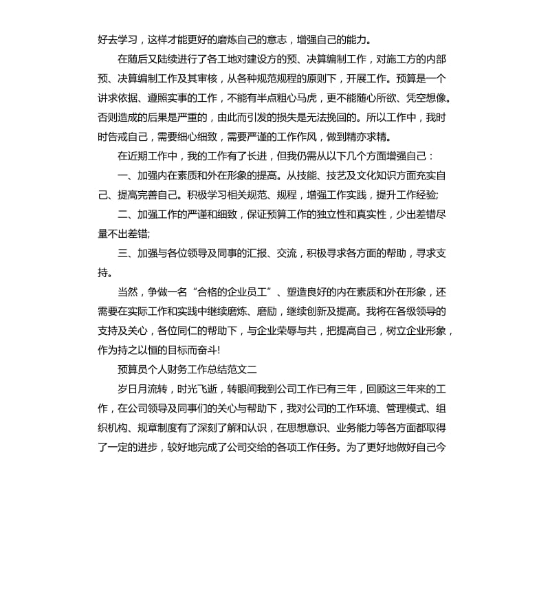 预算员个人财务工作总结.docx_第2页