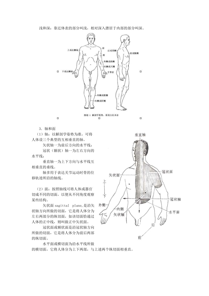 骨科解剖基础_第2页