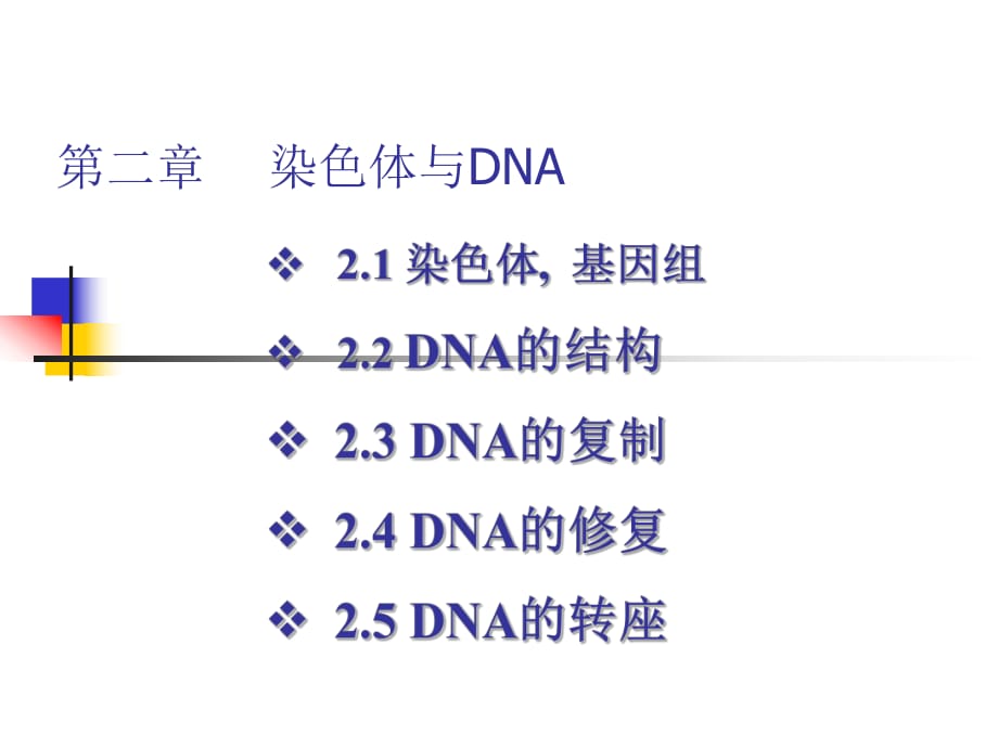 《染色體與DNA》PPT課件_第1頁