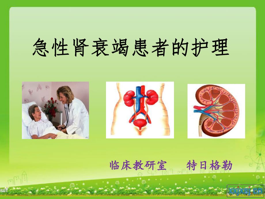 《急性腎衰竭護(hù)理》PPT課件_第1頁(yè)