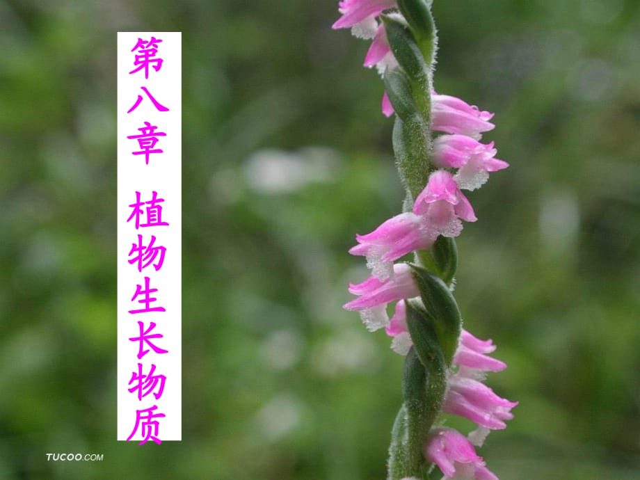 《植物生長物質(zhì)》課件_第1頁