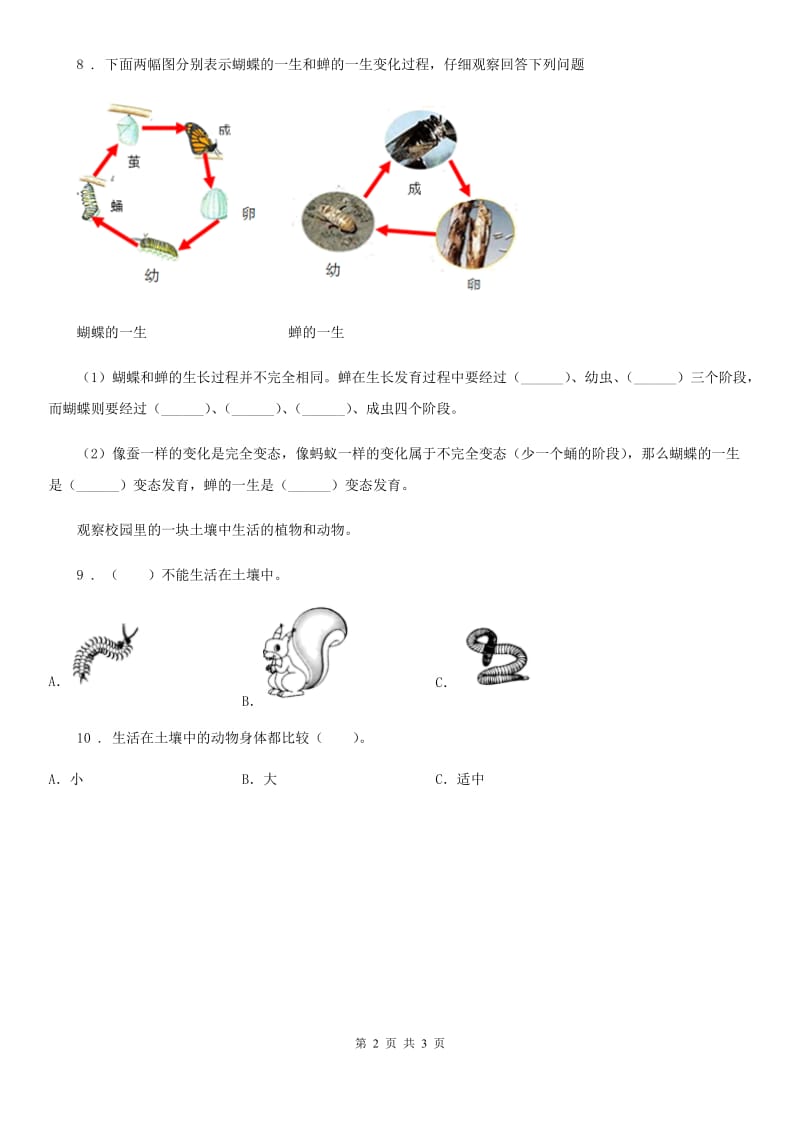 2019年教科版科学二年级上册2.土壤——动植物的乐园A卷_第2页