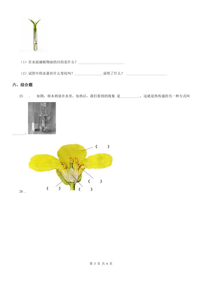 2019-2020学年青岛版四年级上册期末诊断自测科学试卷_第3页