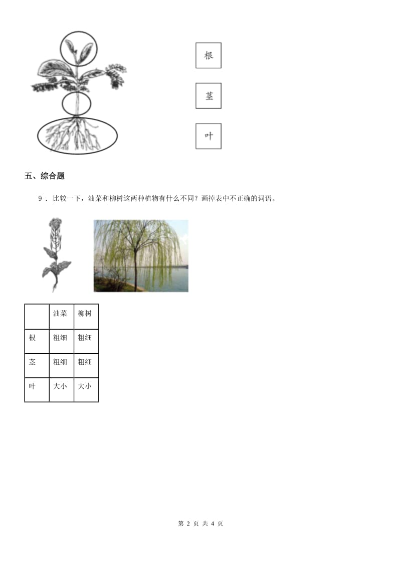 2019年教科版科学一年级上册1.3 观察叶练习卷B卷_第2页