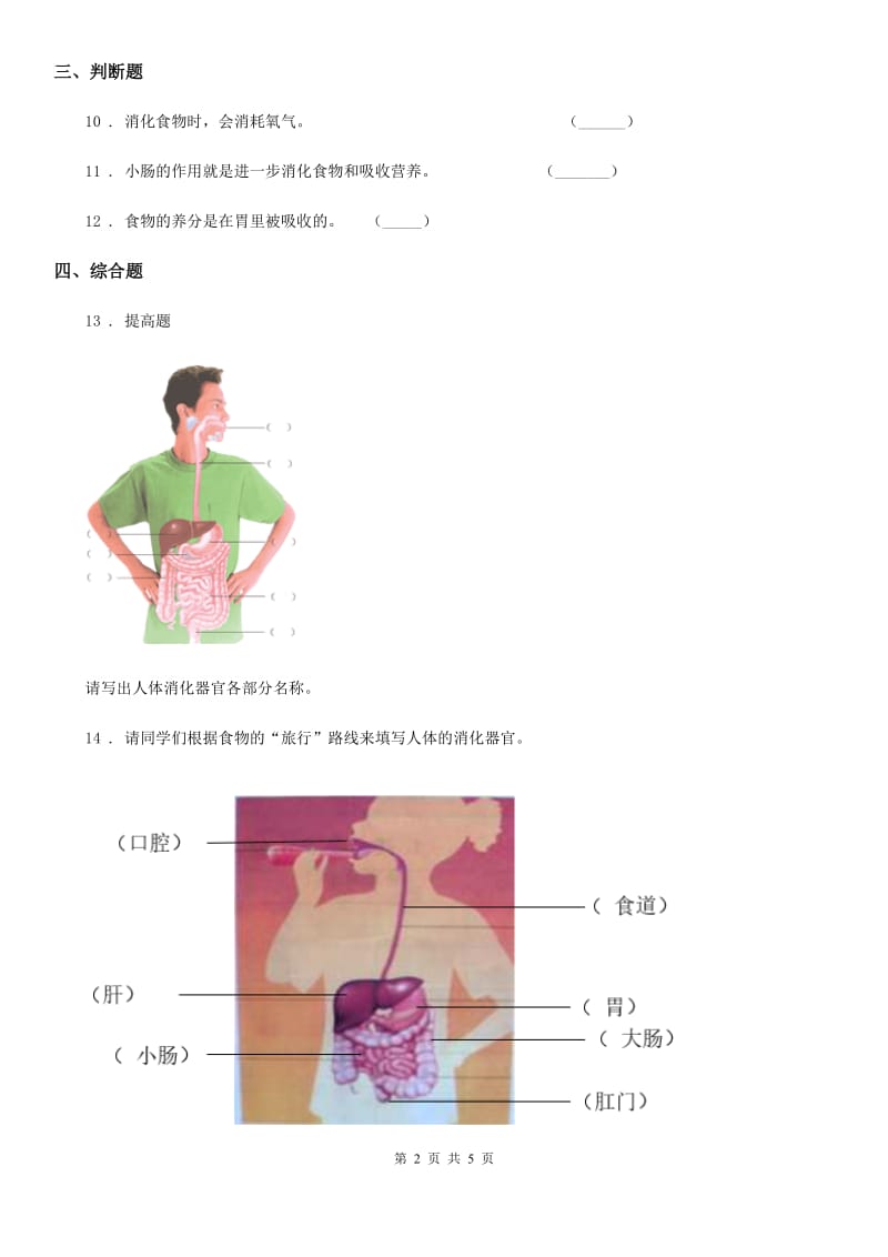 2019-2020年度教科版科学四年级上册4.5 食物在体内旅行练习卷（II）卷_第2页