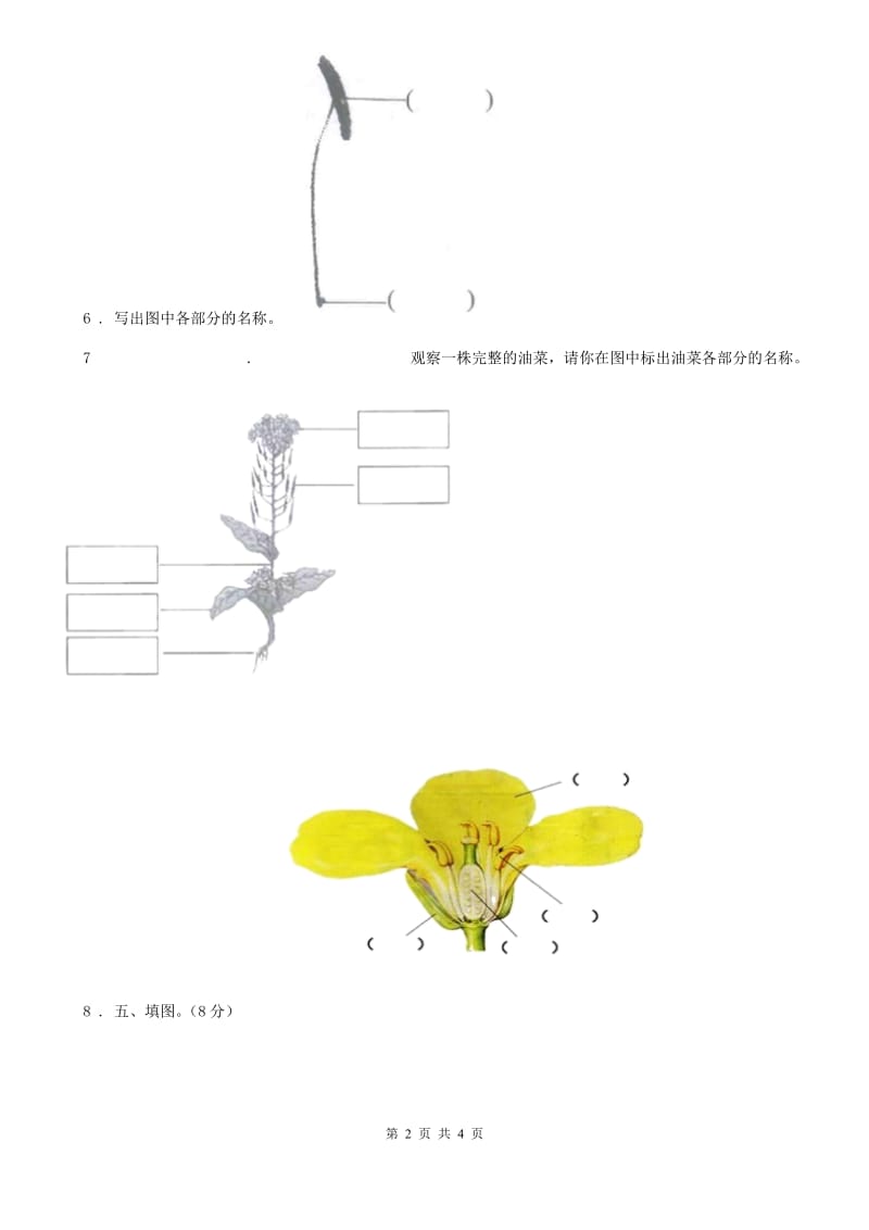 2019-2020学年教科版 科学一年级上册1.3 观察叶练习卷（1）D卷_第2页