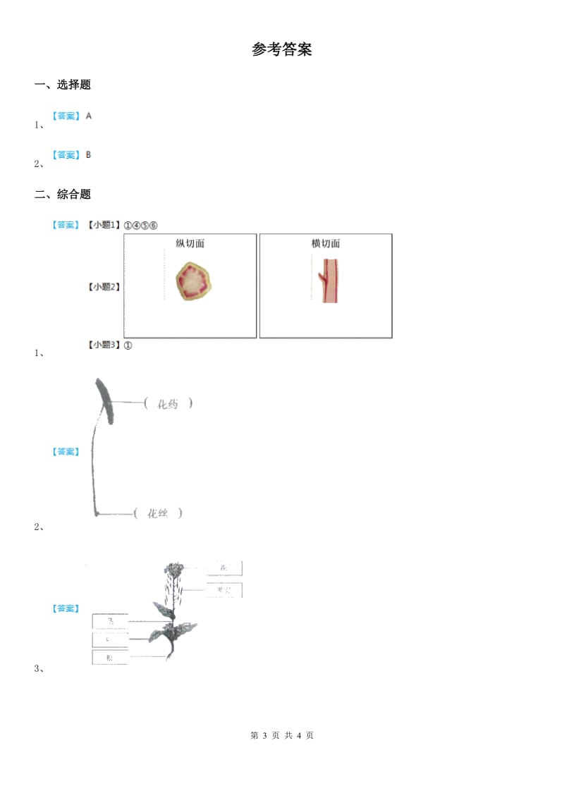 2019-2020学年教科版 科学一年级上册1.3 观察叶练习卷（1）D卷_第3页