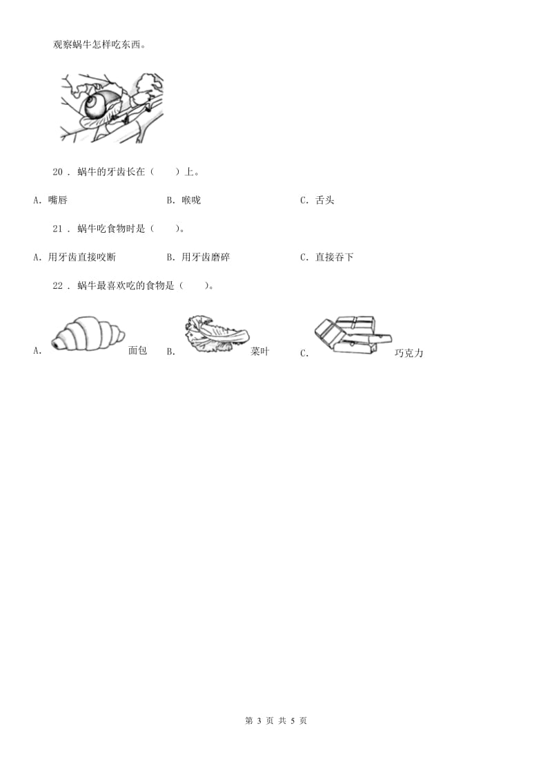 2019-2020学年教科版科学三年级下册2.5 茧中钻出了蚕蛾练习卷(II)卷_第3页