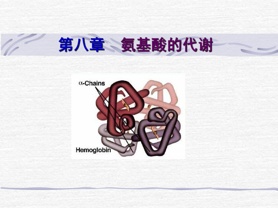 《含氮化合物代謝》PPT課件_第1頁