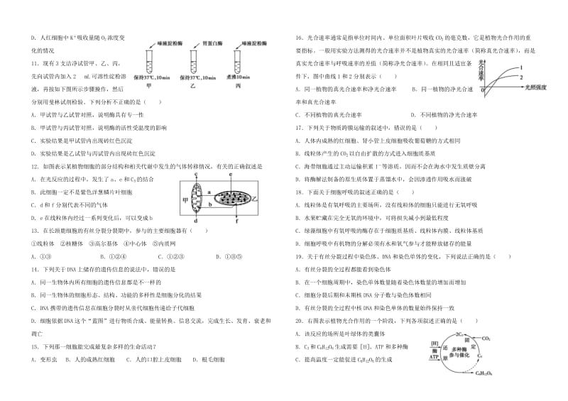 高中生物必修一期末试题(附答案)_第2页