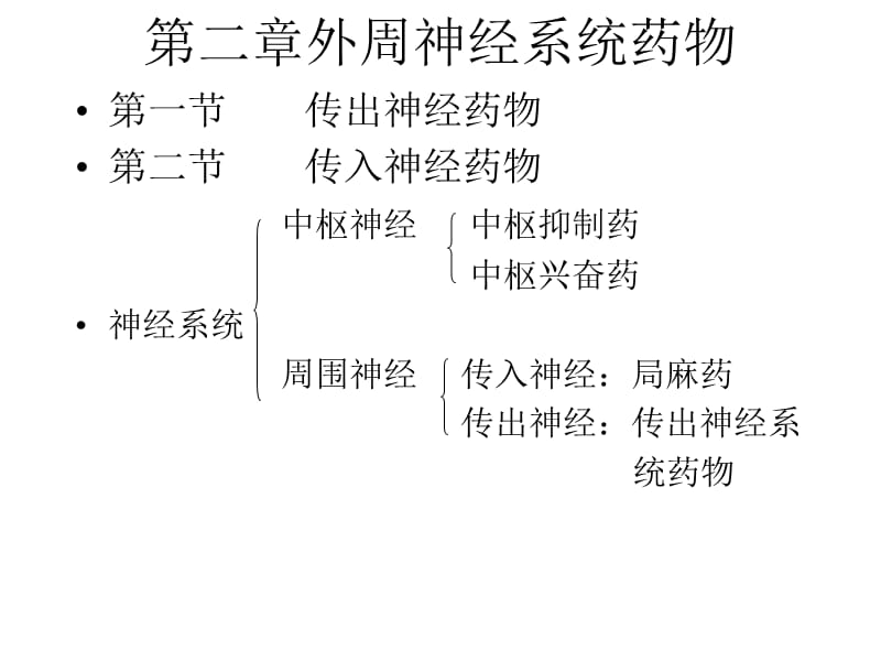 《外周神经》课件_第1页