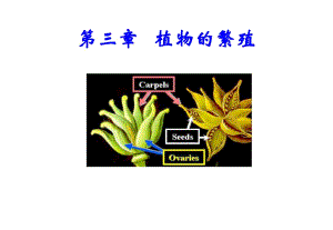 《植物的繁殖》PPT課件