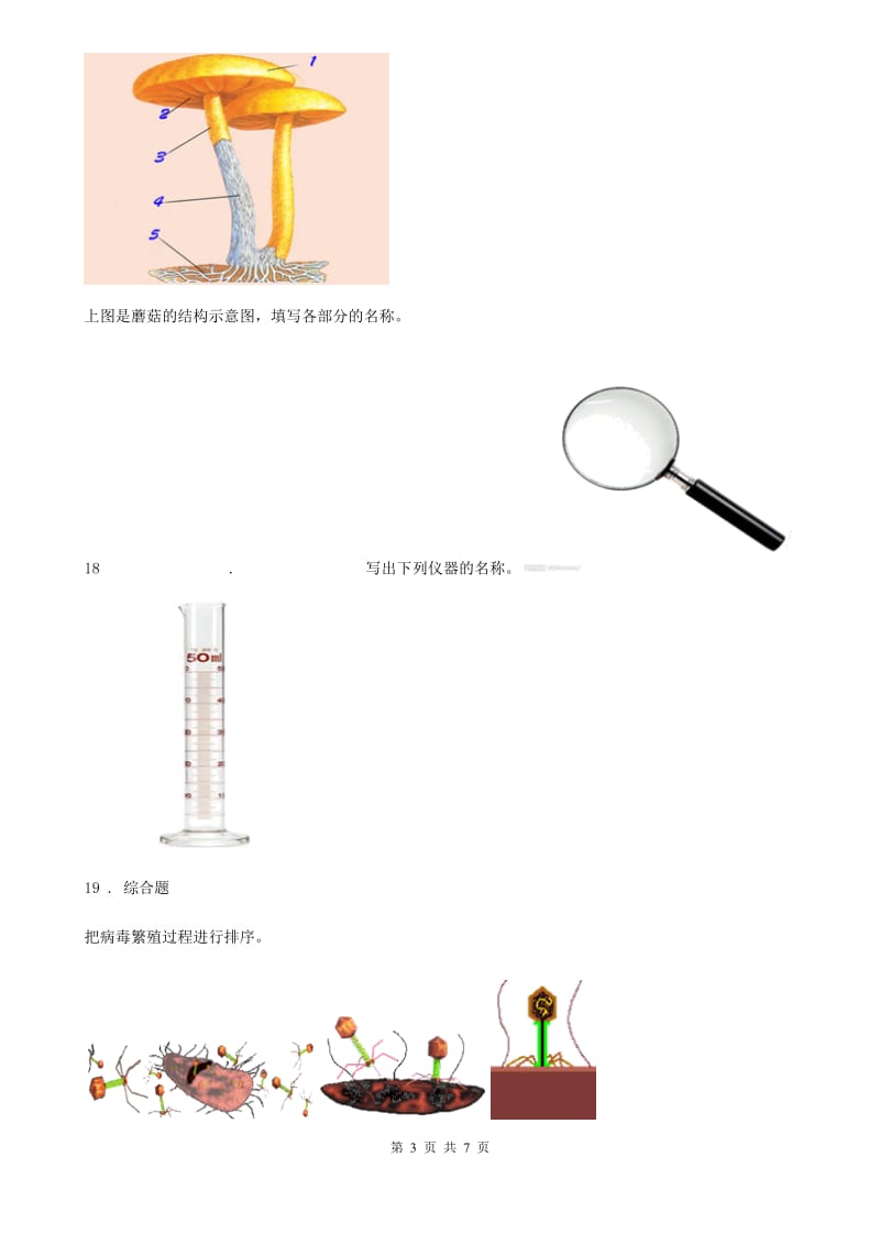 2019-2020学年苏教版科学六年级上册第一单元测试卷_第3页