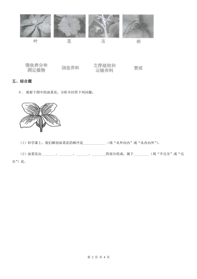 2019年教科版科学一年级上册1.1 我们知道的植物练习卷（I）卷_第2页