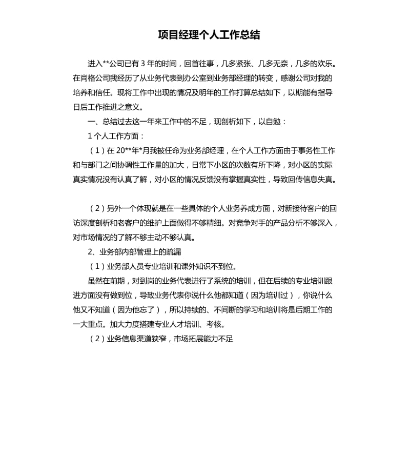 项目经理个人工作总结.docx_第1页