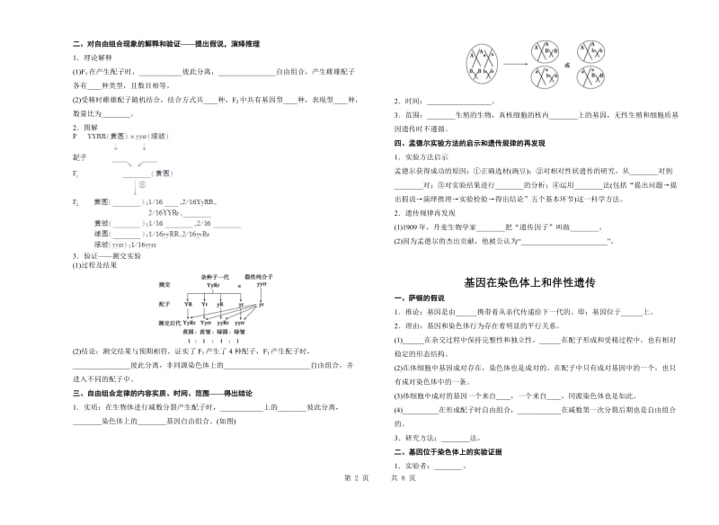 高中生物必修二知识点填空_第2页