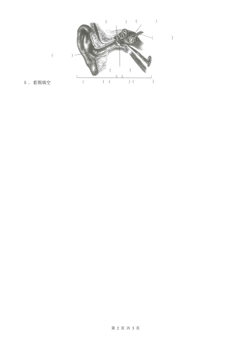 2019年教科版科学二年级上册2.2 不同材料的餐具练习卷B卷_第2页